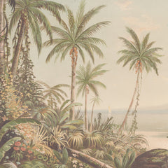 Carta da parati Spiaggia tropicale