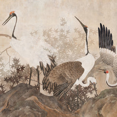 Carta da parati Bosco degli aironi