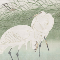 Carta da parati Aironi in volo