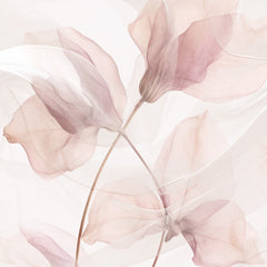 Carta da parati Ciclamini