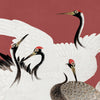 Wallpaper Crane of the Rising Sun