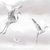 Herons in the sky Wallmural