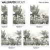 Equatorial Harmony Wall Mural