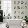 Carta da parati Tavole botaniche - bagno