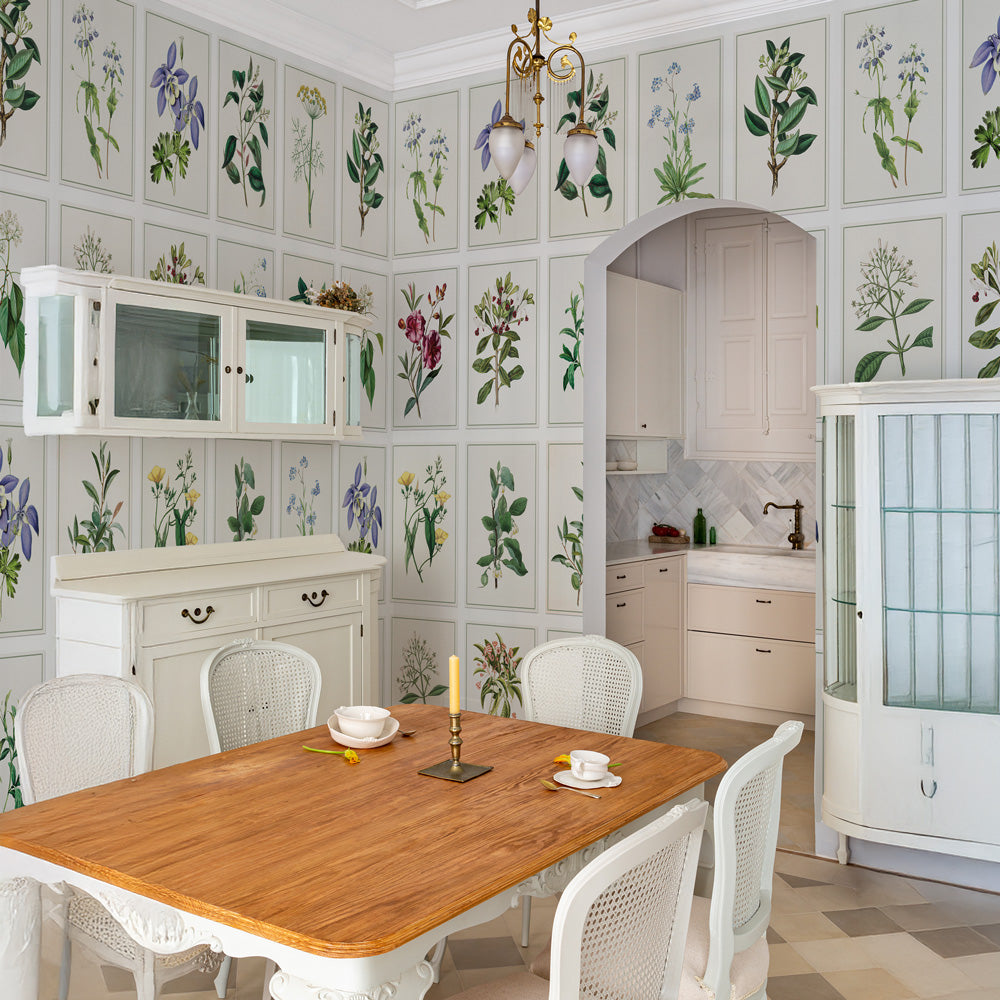 Carta da parati Tavole botaniche - sala da pranzo