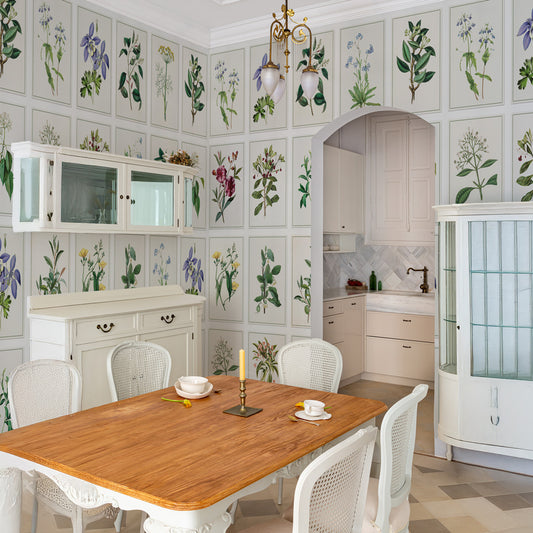 Carta da parati Tavole botaniche - sala da pranzo