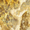 Carta da parati Splendore dorato