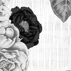 Carta da parati Rosa Nera